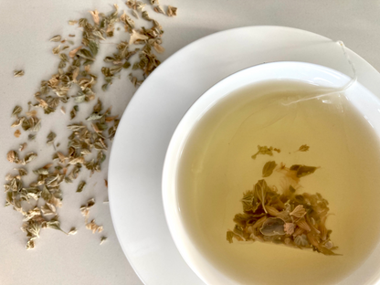 Té OP para prediabetes y diabetes